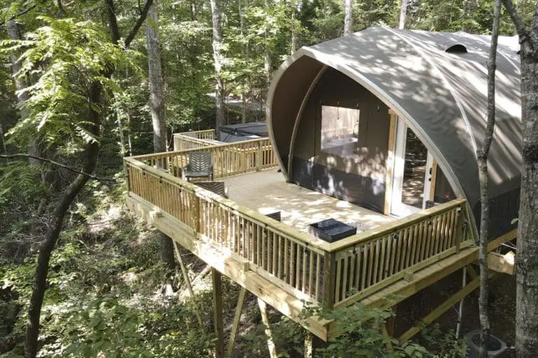 Secluded glamping pod with spacious wooden deck in wooded forest setting.