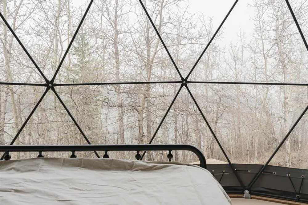 Transparent geodesic dome window with forest view in the background.
