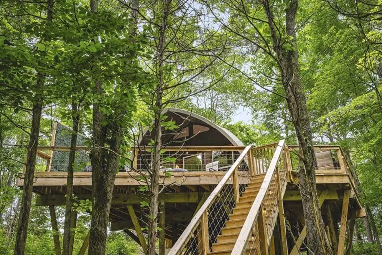 Secluded treehouse with wooden deck surrounded by lush greenery and tall trees.