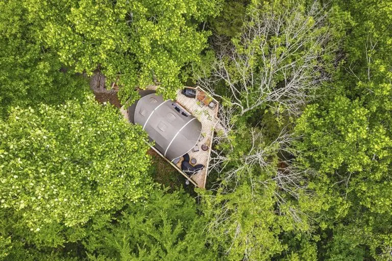Modern tiny house surrounded by lush green trees in a forest setting.