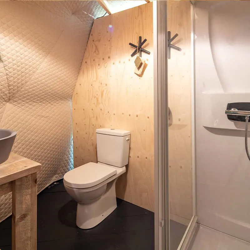 Compact bathroom with wood-paneled walls, toilet, and modern shower, showcasing efficient space utilization.