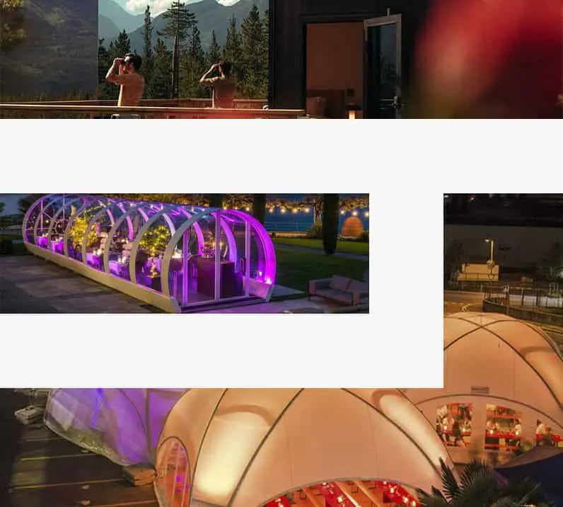 Greenhouse with purple lighting for event ambiance, outdoor garden space, modern event venue, illuminated glass greenhouse, outdoor event space with aesthetic lighting, relevant for event and rental services at EJH Distribution.