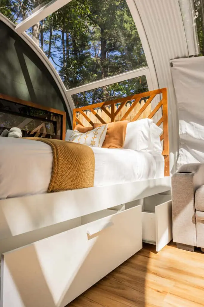 Bright sunroom with a cozy single bed, wooden headboard, and large windows showing lush green trees outside.